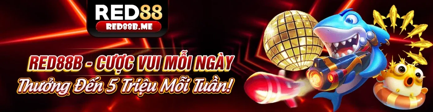 Hình ảnh đại diện cho GDPR hợp quy và bảo mật dữ liệu tại Kubet Casino